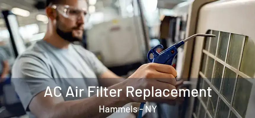 AC Air Filter Replacement Hammels - NY