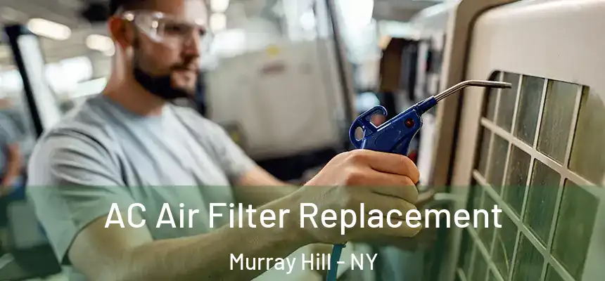 AC Air Filter Replacement Murray Hill - NY