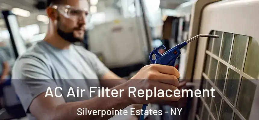 AC Air Filter Replacement Silverpointe Estates - NY