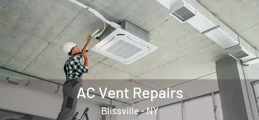 AC Vent Repairs Blissville - NY
