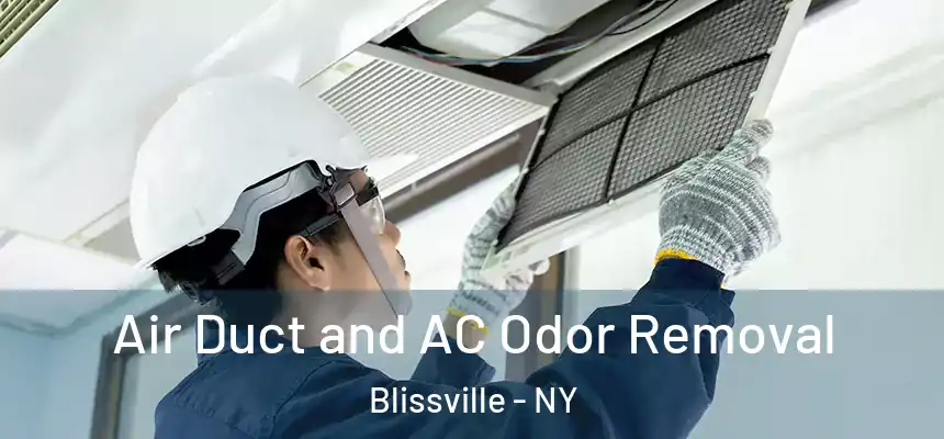Air Duct and AC Odor Removal Blissville - NY