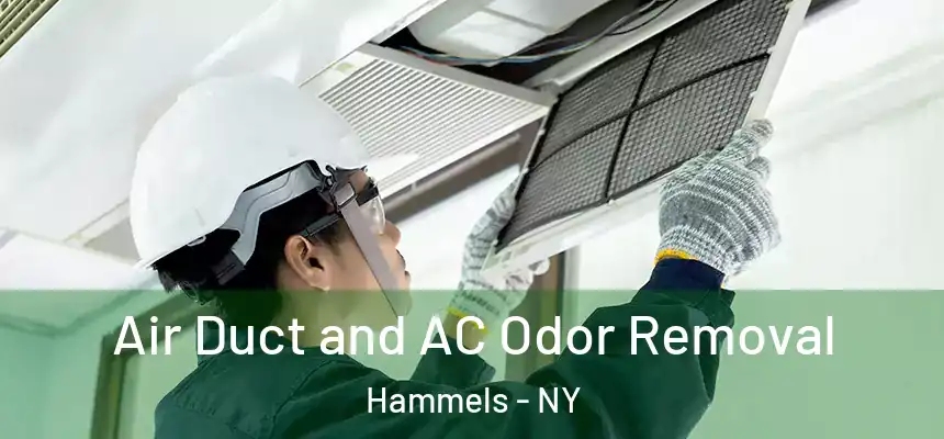  Air Duct and AC Odor Removal Hammels - NY