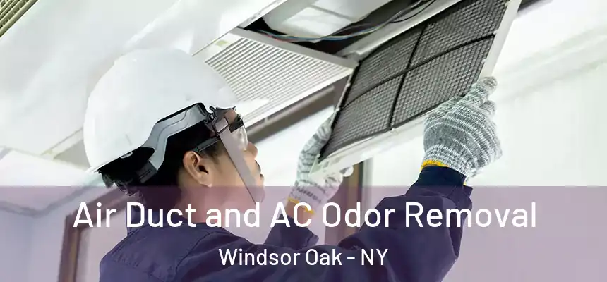  Air Duct and AC Odor Removal Windsor Oak - NY