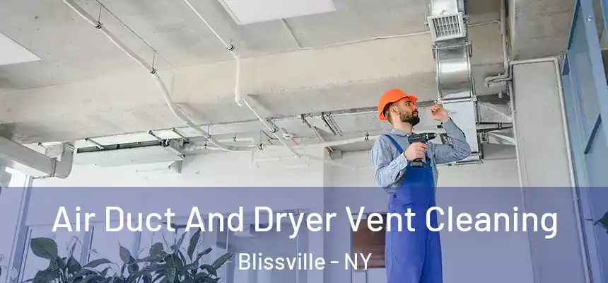 Air Duct And Dryer Vent Cleaning Blissville - NY