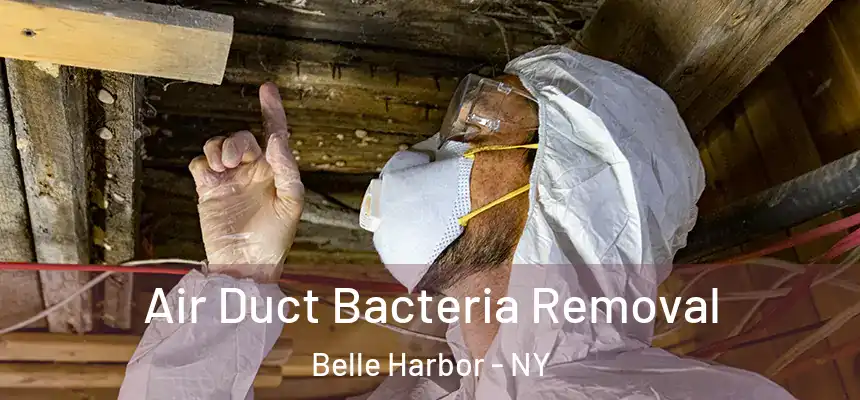  Air Duct Bacteria Removal Belle Harbor - NY