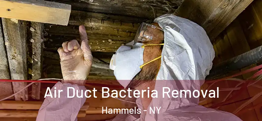  Air Duct Bacteria Removal Hammels - NY