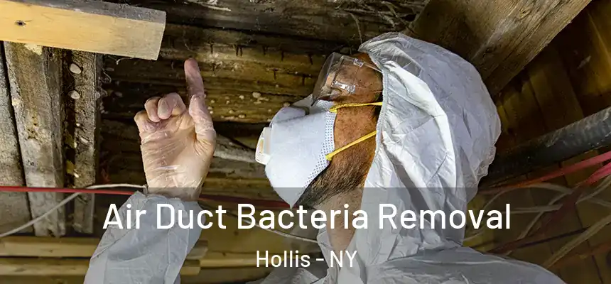  Air Duct Bacteria Removal Hollis - NY