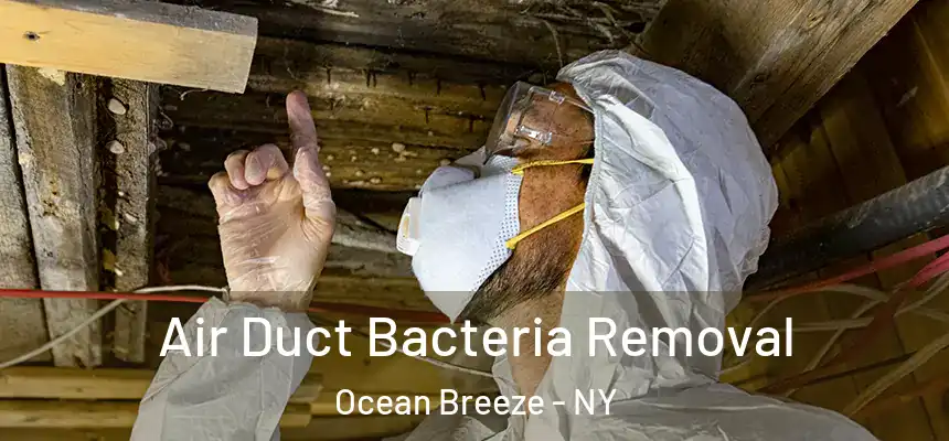  Air Duct Bacteria Removal Ocean Breeze - NY