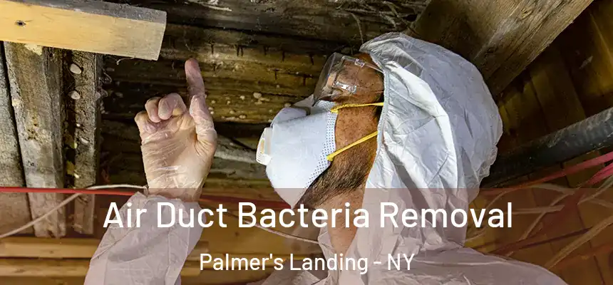  Air Duct Bacteria Removal Palmer's Landing - NY