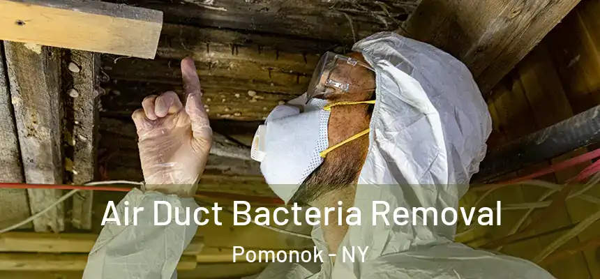  Air Duct Bacteria Removal Pomonok - NY