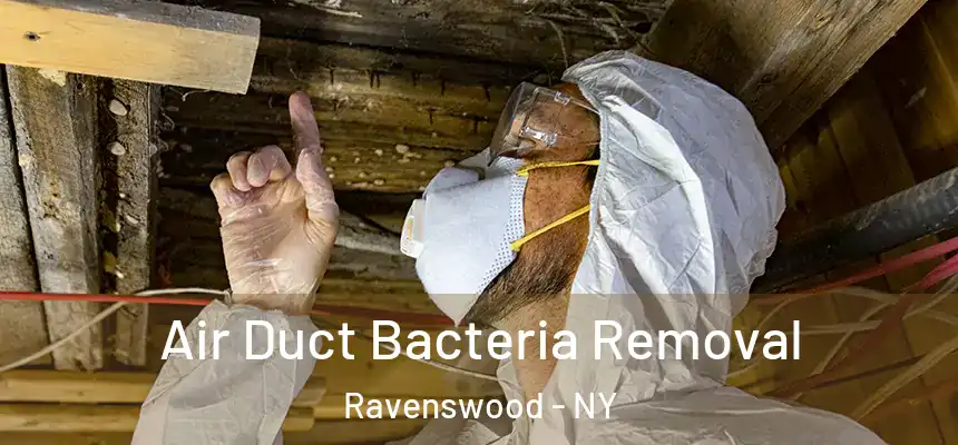  Air Duct Bacteria Removal Ravenswood - NY