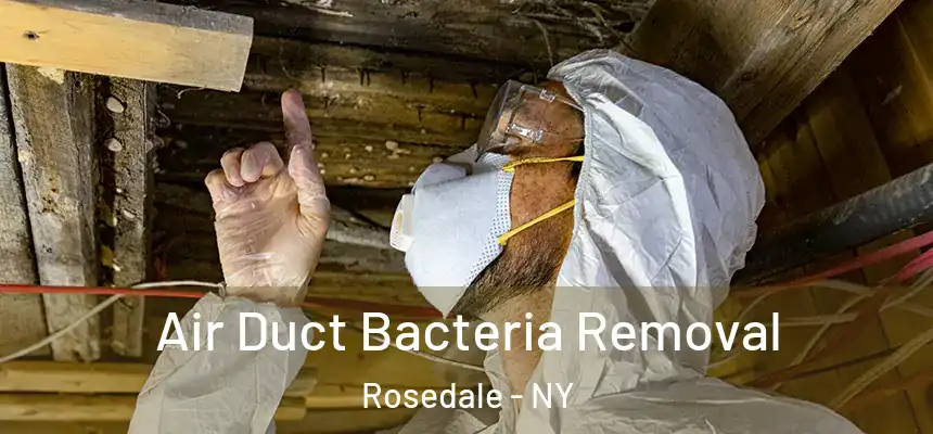  Air Duct Bacteria Removal Rosedale - NY