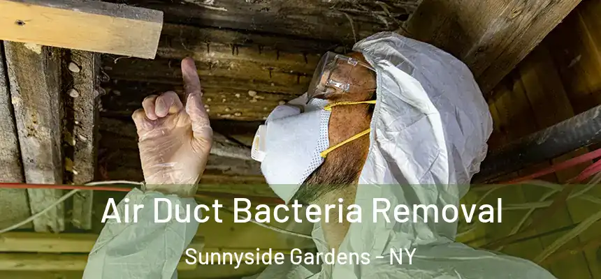 Air Duct Bacteria Removal Sunnyside Gardens - NY