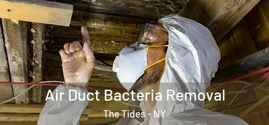  Air Duct Bacteria Removal The Tides - NY