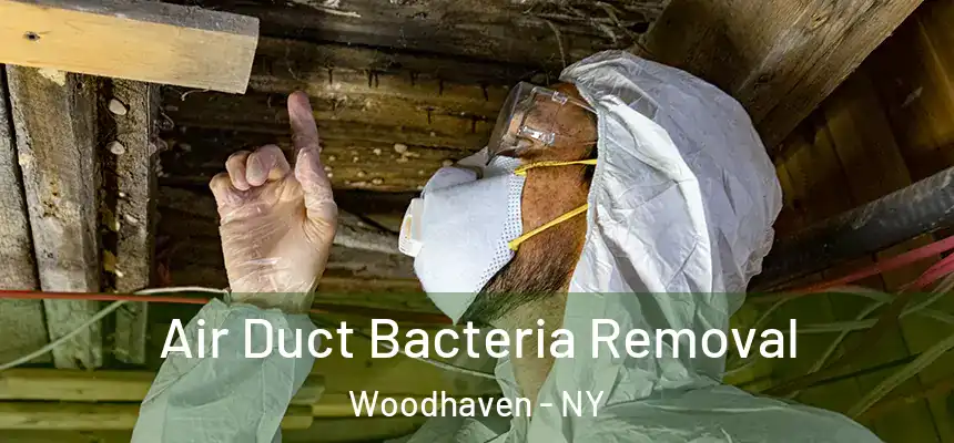  Air Duct Bacteria Removal Woodhaven - NY