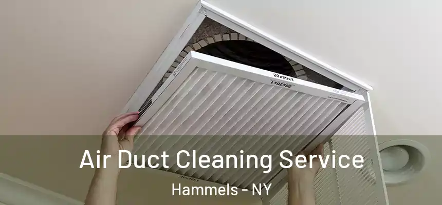  Air Duct Cleaning Service Hammels - NY