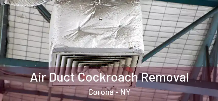 Air Duct Cockroach Removal Corona - NY