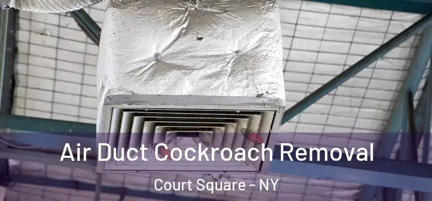  Air Duct Cockroach Removal Court Square - NY