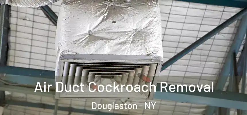  Air Duct Cockroach Removal Douglaston - NY