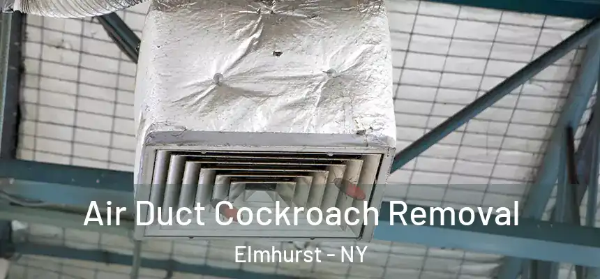 Air Duct Cockroach Removal Elmhurst - NY