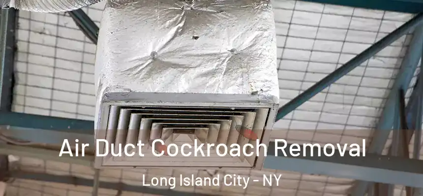 Air Duct Cockroach Removal Long Island City - NY