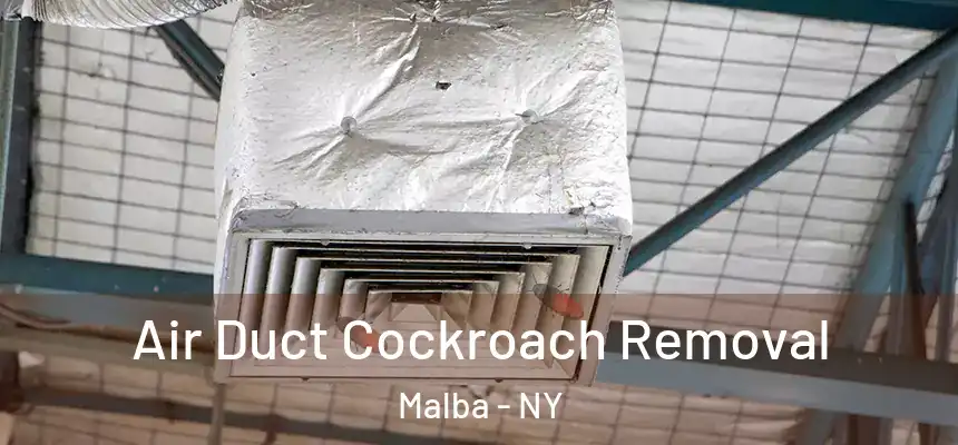 Air Duct Cockroach Removal Malba - NY