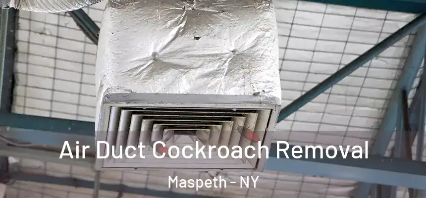 Air Duct Cockroach Removal Maspeth - NY
