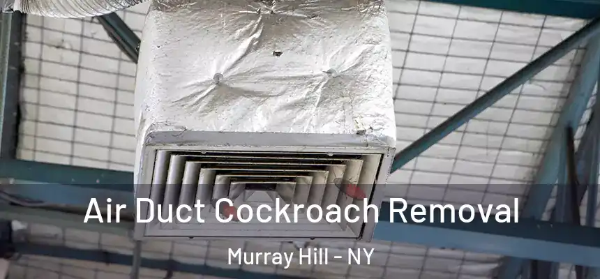  Air Duct Cockroach Removal Murray Hill - NY