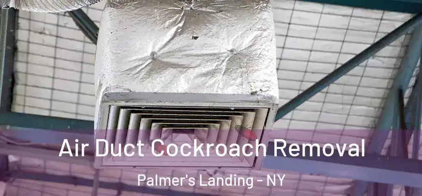  Air Duct Cockroach Removal Palmer's Landing - NY