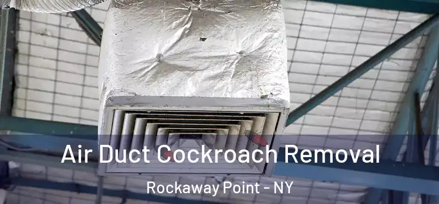  Air Duct Cockroach Removal Rockaway Point - NY