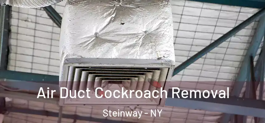 Air Duct Cockroach Removal Steinway - NY