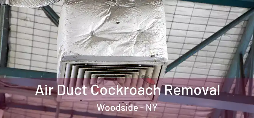  Air Duct Cockroach Removal Woodside - NY