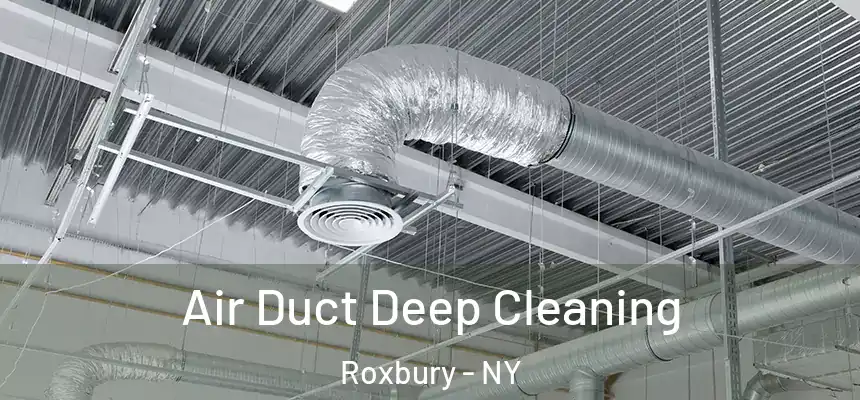 Air Duct Deep Cleaning Roxbury - NY
