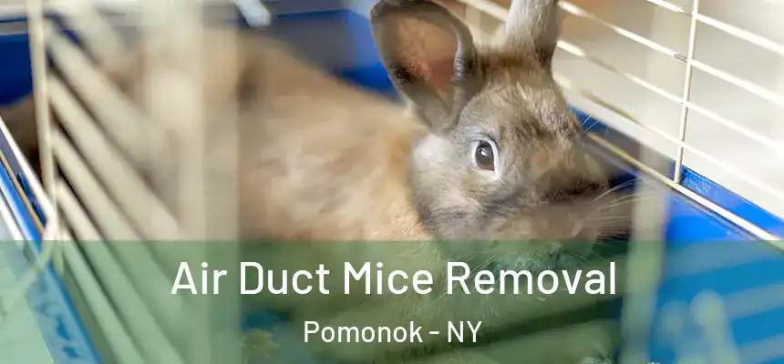  Air Duct Mice Removal Pomonok - NY