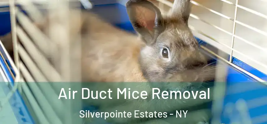  Air Duct Mice Removal Silverpointe Estates - NY
