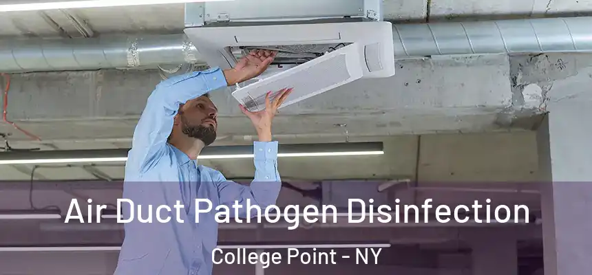 Air Duct Pathogen Disinfection College Point - NY