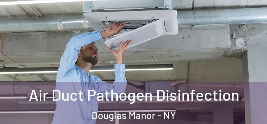  Air Duct Pathogen Disinfection Douglas Manor - NY