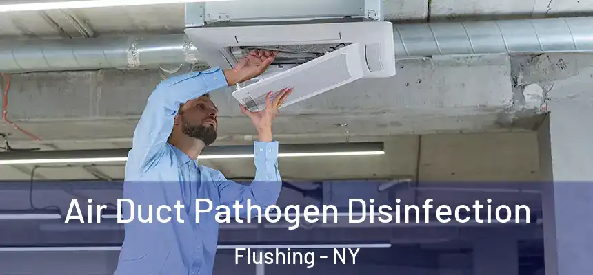  Air Duct Pathogen Disinfection Flushing - NY