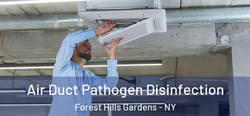 Air Duct Pathogen Disinfection Forest Hills Gardens - NY