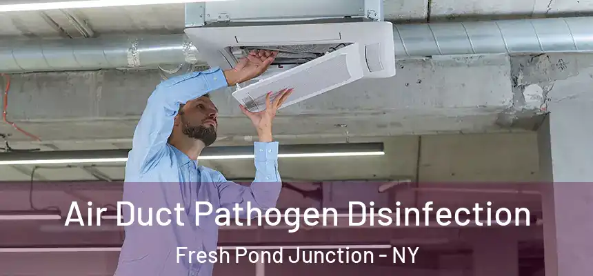 Air Duct Pathogen Disinfection Fresh Pond Junction - NY