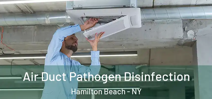  Air Duct Pathogen Disinfection Hamilton Beach - NY