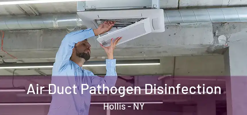 Air Duct Pathogen Disinfection Hollis - NY