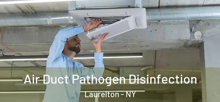  Air Duct Pathogen Disinfection Laurelton - NY