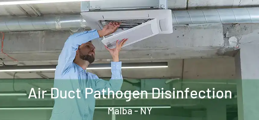  Air Duct Pathogen Disinfection Malba - NY