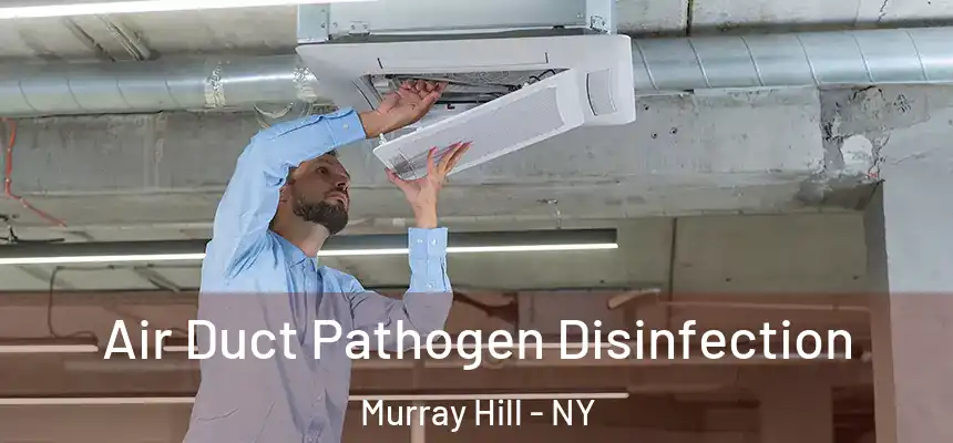  Air Duct Pathogen Disinfection Murray Hill - NY