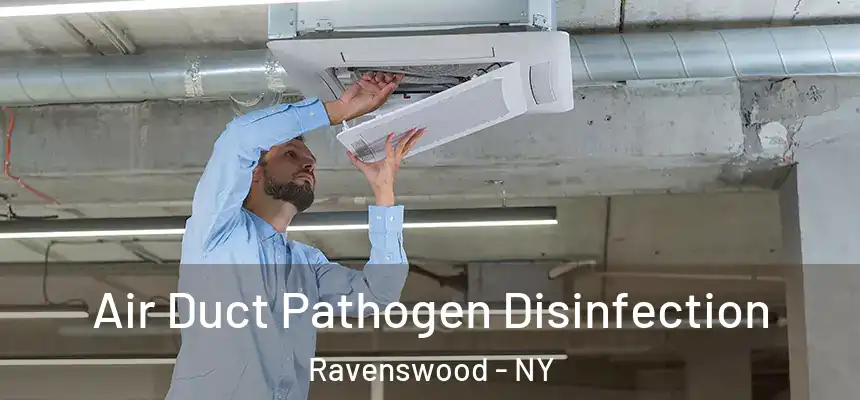  Air Duct Pathogen Disinfection Ravenswood - NY