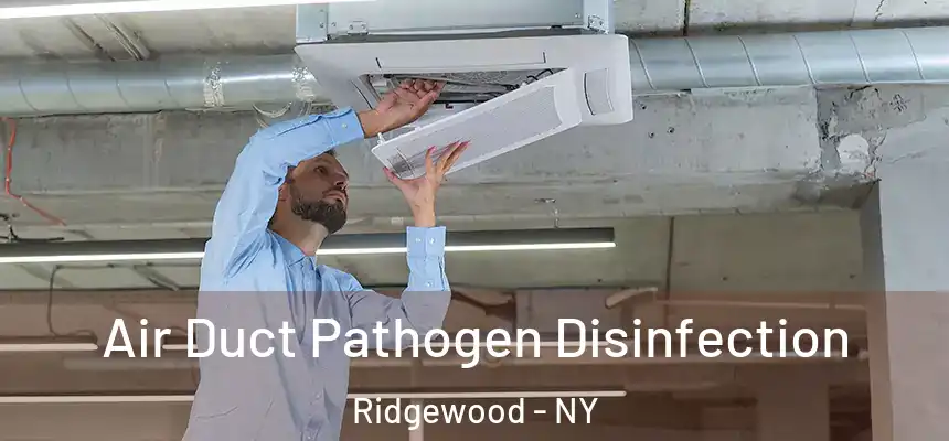Air Duct Pathogen Disinfection Ridgewood - NY