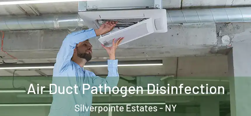  Air Duct Pathogen Disinfection Silverpointe Estates - NY