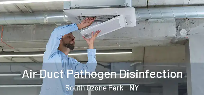  Air Duct Pathogen Disinfection South Ozone Park - NY