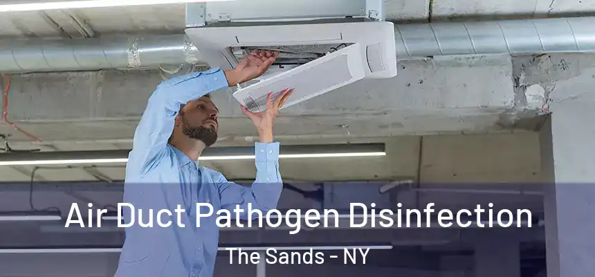 Air Duct Pathogen Disinfection The Sands - NY